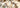 What Are the Latest Nail Treatment Trends for Healthy Nails in 2026?